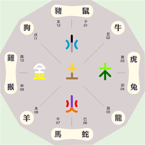 十天干十二地支|天干地支五行对照表